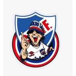 Pegatina C.N.deF HINCHA 5x5