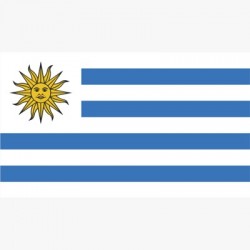 Pegatina BANDERA UY 12x7 grande exterior