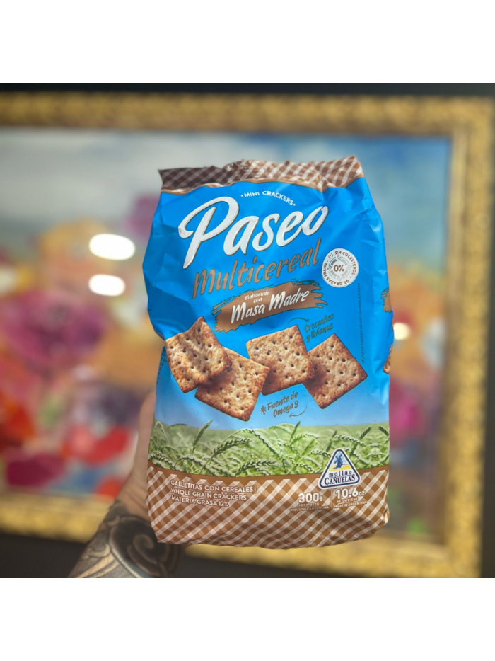 Paseo MULTICEREALES 300 g. MASA MADRE
