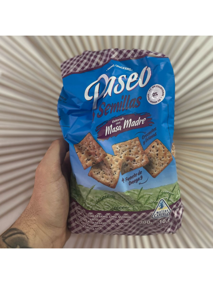 Paseo 5 SEMILLAS 300 g. MASA MADRE