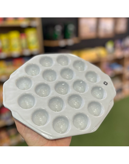 Provolonera 19 cavidades BLANCA