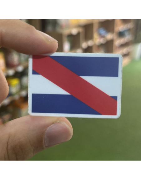 Pegatina BANDERA ARTIGAS 5x5